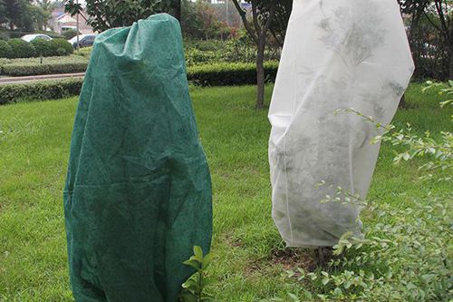 Plant Protection Covers