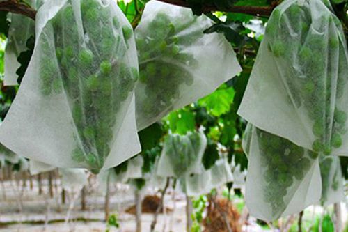 Non-woven Fabrics for Planting Bags